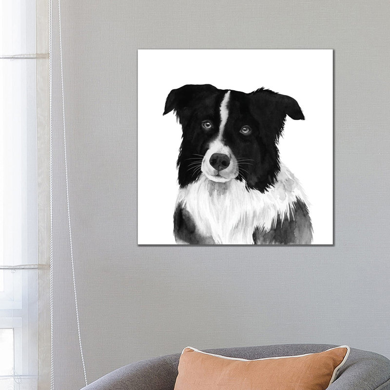 Border Collie II by Grace Popp - Gallery-Wrapped Canvas Giclée on Canvas, No Frame, 66.04 cm H x 66.04 cm W x 1.91 cm D