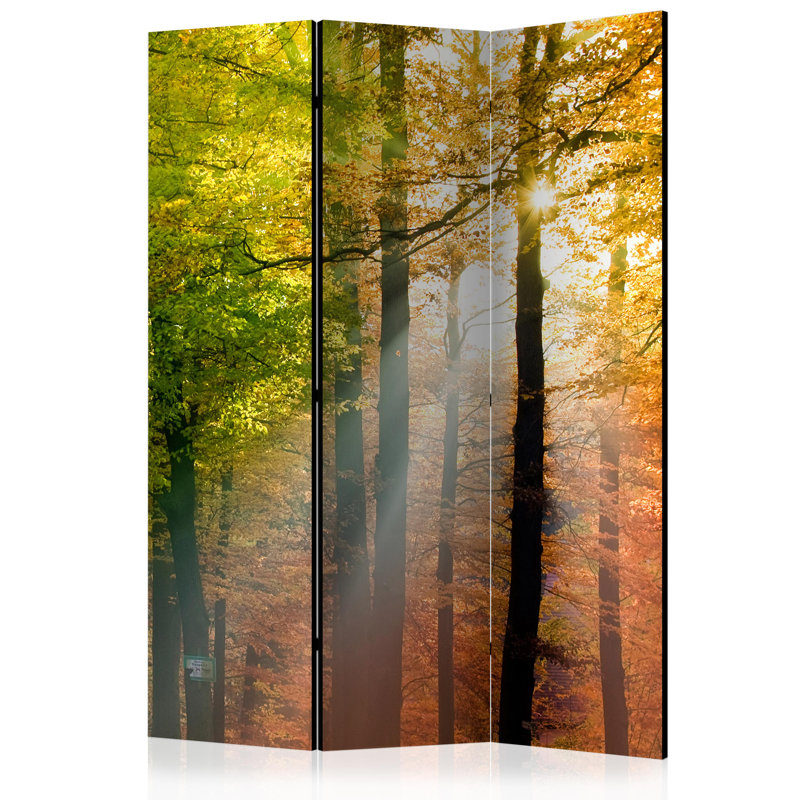 Gillina 135 cm W x 172 cm H 3 - Panel Solid Wood Folding Room Divider