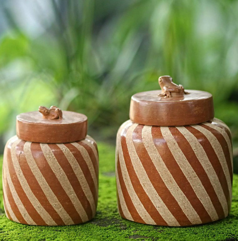 Ensemble de pots de rangement 2 pièces Lucky Frogs