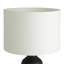Ayaab Ceramic Novelty Lamp-166568862-166568863