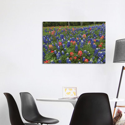 Bluebonnet And Paintbrush Meadow, Cedar Hill State Park, Texas by Tim Fitzharris - Wrapped Canvas Print