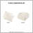 Larissa Off-White Animal Chenille 3-Piece King/Cal King Comforter Set-102156756