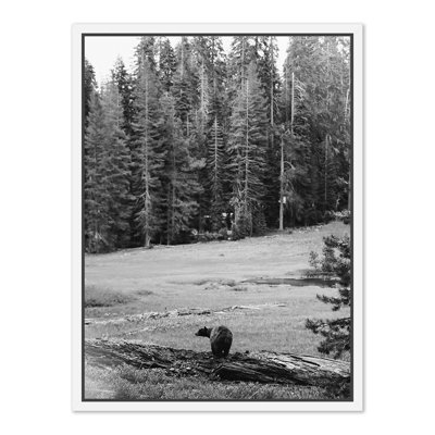 Don't Feed The Bears Print by Wesley And Emma Teague