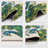 Peacock Animal Patterned Colorful Decorative Carpet-304920543