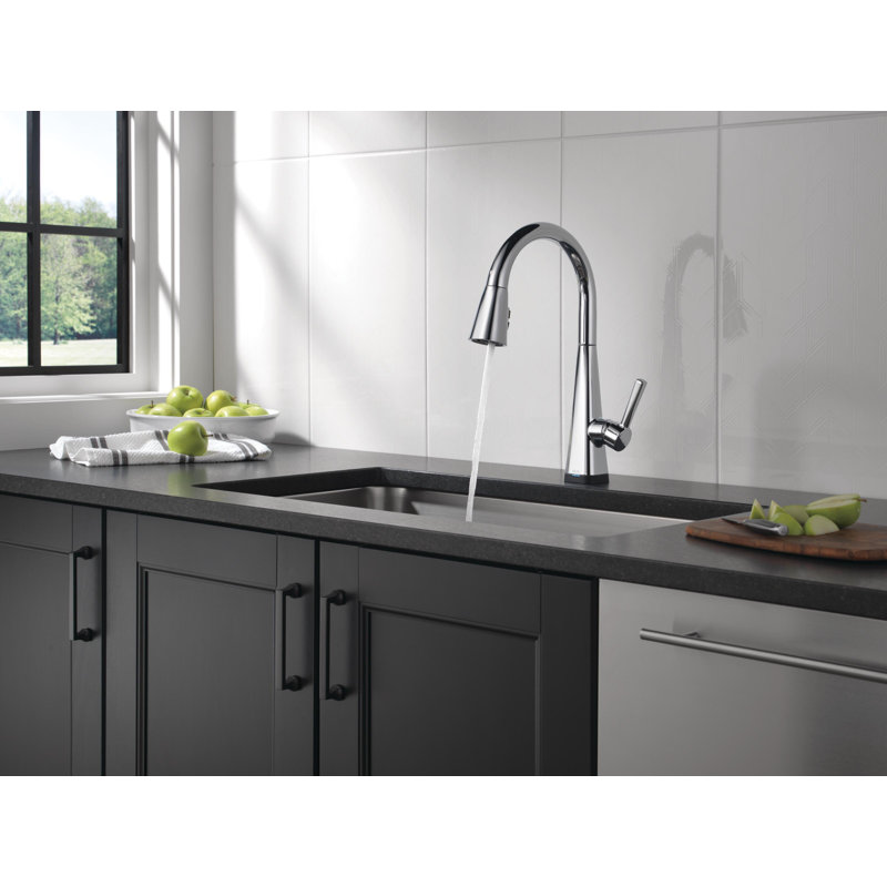 Robinet d'évier de cuisine Lenta, Chrome chrome