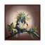 Spike by Carrie Goller - Gallery-Wrapped Canvas Giclée on Canvas-1784910175-1784910174