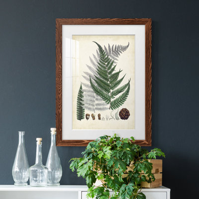 " Collected Ferns II "