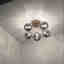 Photos des clients 2 de 2