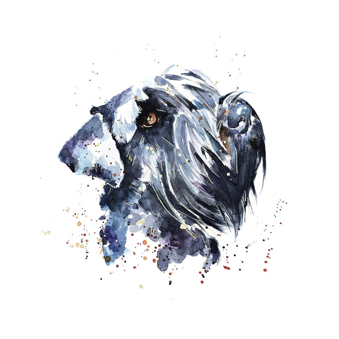 Giant Schnauzer by EdsWatercolours - Wrapped Canvas Painting