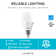 60 Watt Equivalent A19 E26/Medium (Standard) Dimmable LED Bulb