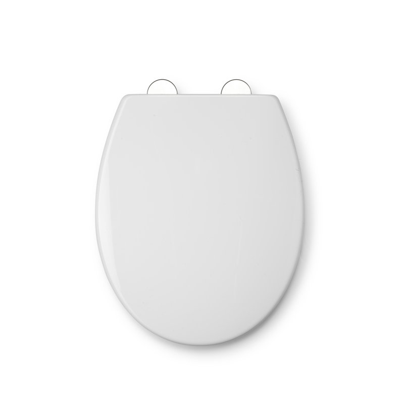 Family Toilet Seat, Removable Child Seat with Magnet (Lomond)