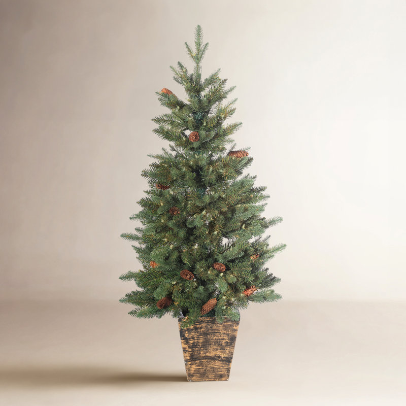 Potted 4' Pre-Lit Pine Tree