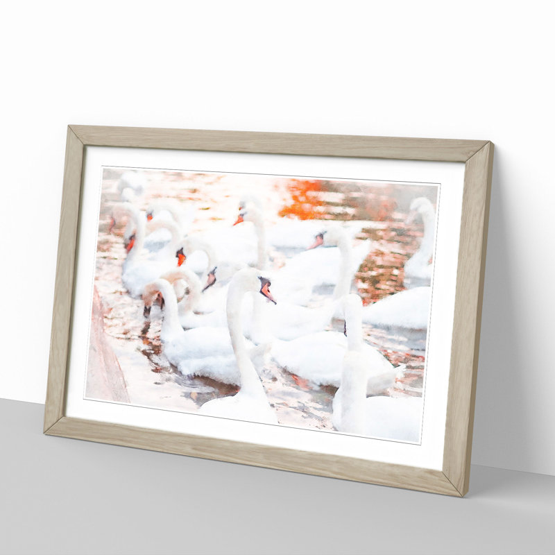 White Swans - Picture Frame Painting, 27cm H x 36cm W x 2cm D, Oak Framed
