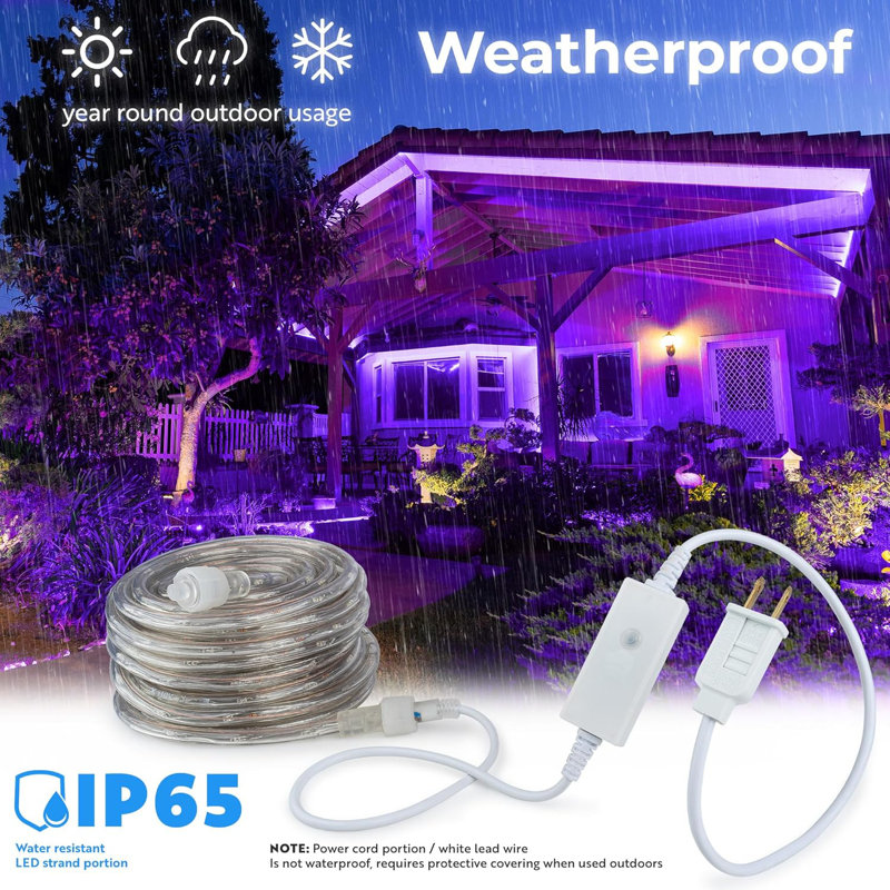 LED Rope Light w/ 8 Mode, Purple, 120" L