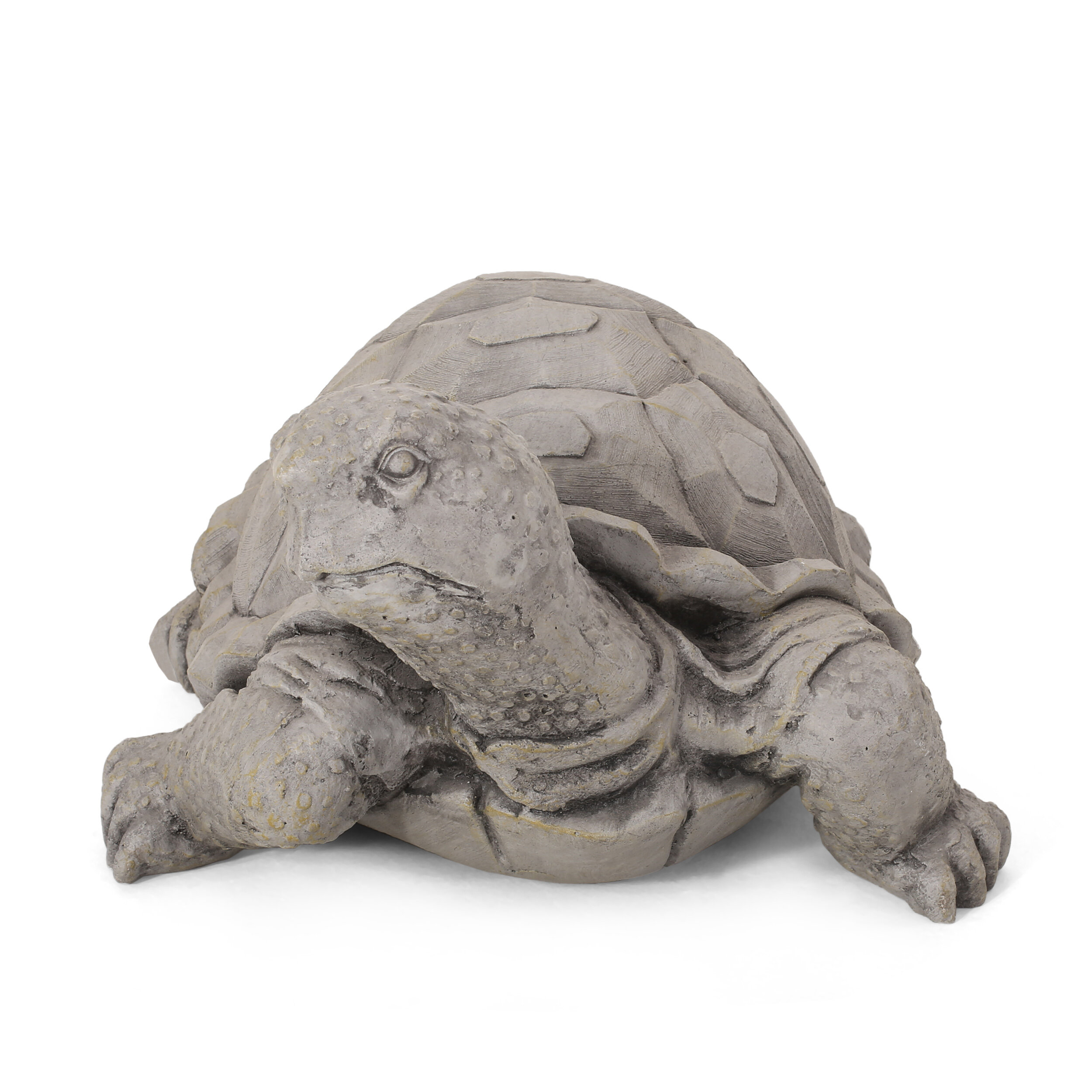 Beachcrest Home™ Strother Outdoor Turtle Garden Statue & Reviews | Wayfair