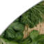 Tapis vert d'intérieur et d'extérieur Botanical-44191141