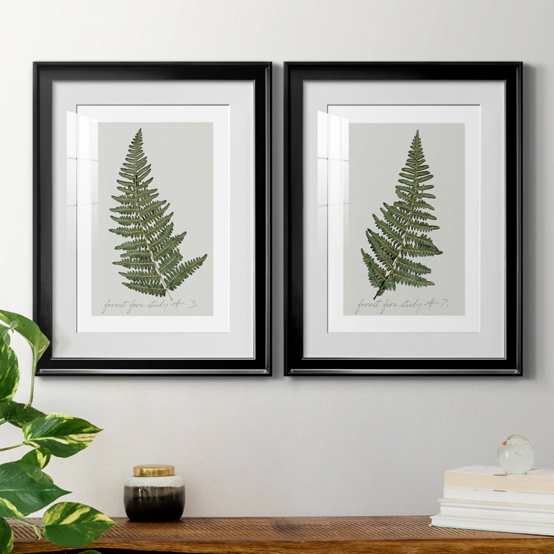 Fern Fernandes I - ensemble de 2 impressions, H 22,5 po x l 61 po x P 1,5 po, Papier encadré noir, Blanc