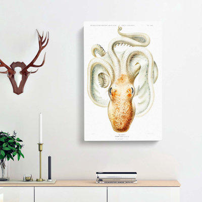 A Velodona Octopus by Carl Chun - Wrapped Canvas Painting