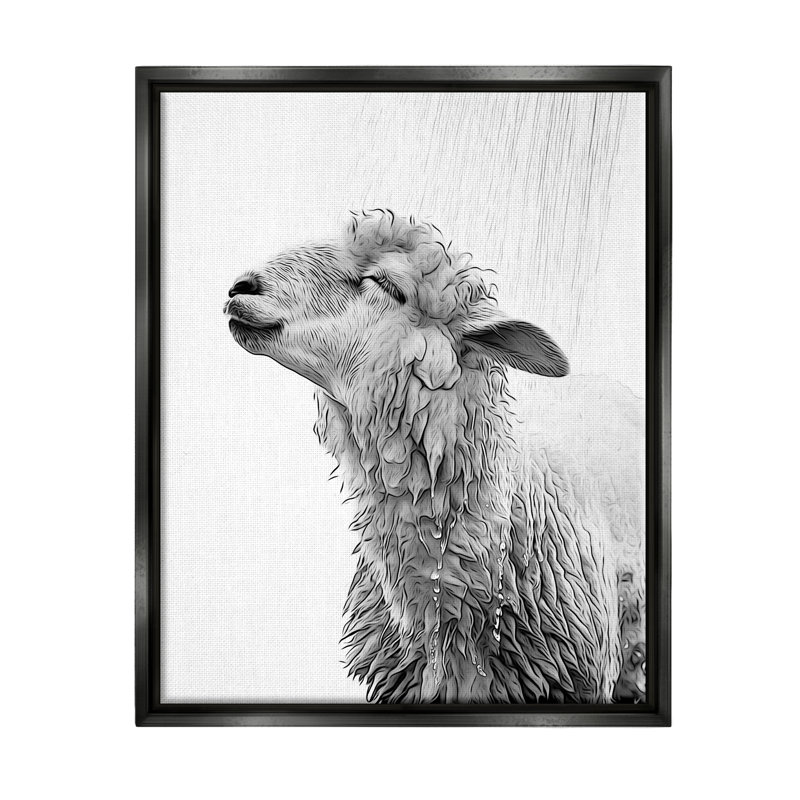 Mouton pour salle de bain, Cadre flottant noir de jais, H 21 po x l 17 po x P 1,7 po