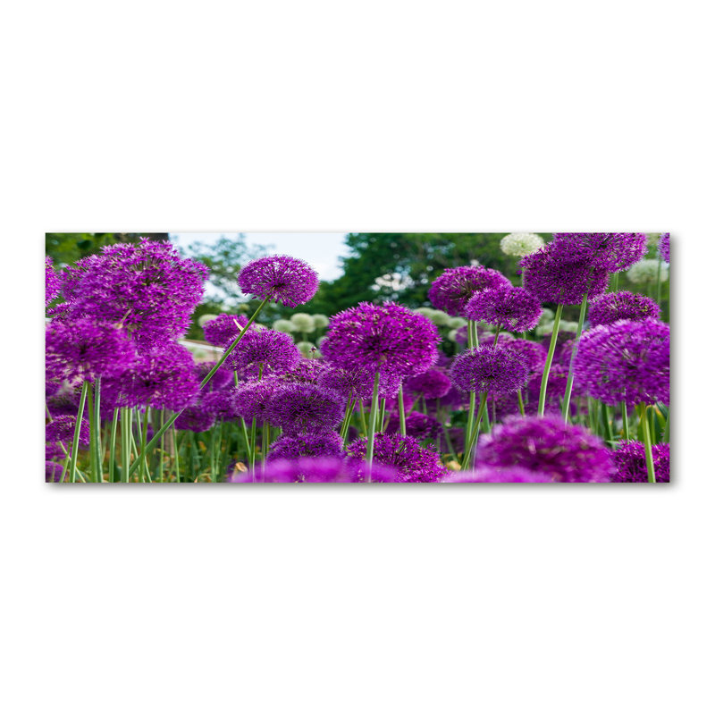 Garlic Flowers 1 Piece Wall Art on Canvas
