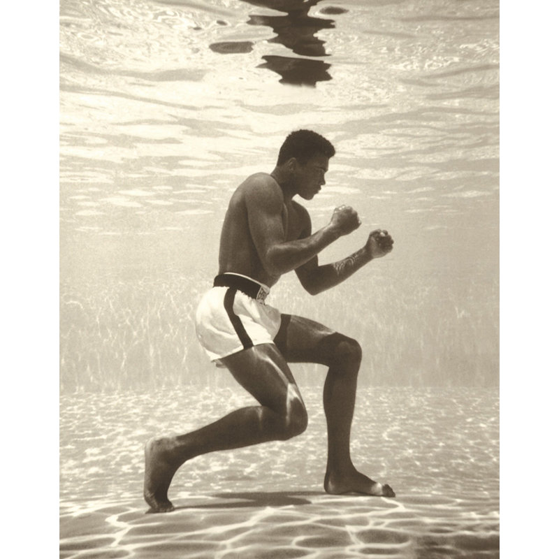 Muhammad Ali, H 24 po x l 19 po