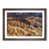 Walnut Framed