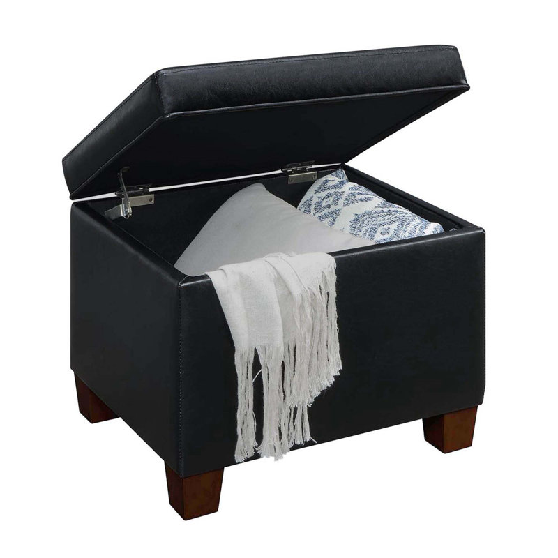 Akifa 21.50" Wide Leather Rectangle Storage Ottoman, Akifa Black Vegan Leather
