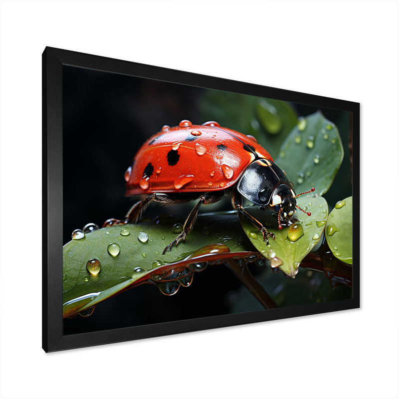 Curious Ladybug Crimson Serenity II, H 24 po x l 32 po x P 1 po, Cadre simple noir