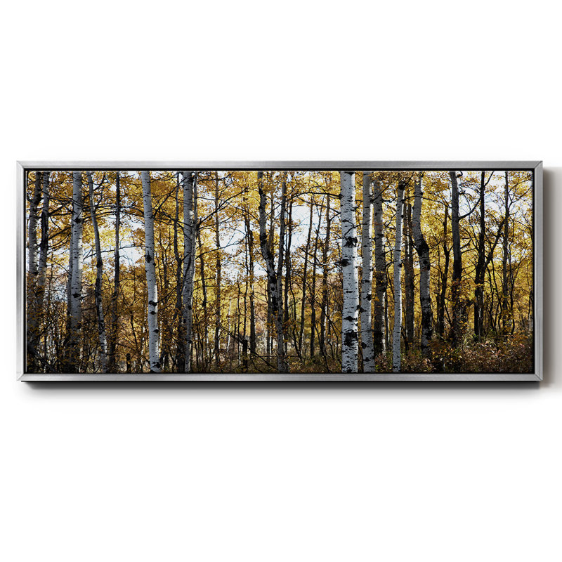 Sunny Grove- Framed Canvas