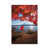Wrapped Canvas