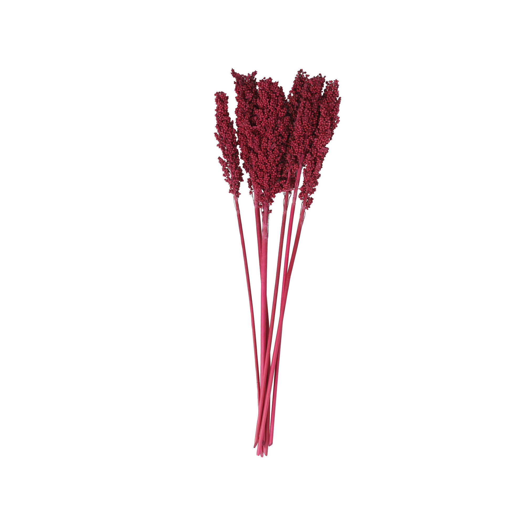 Clerkin Natural Dried Plant Floral And Botanical Artificial Foliage, Pink