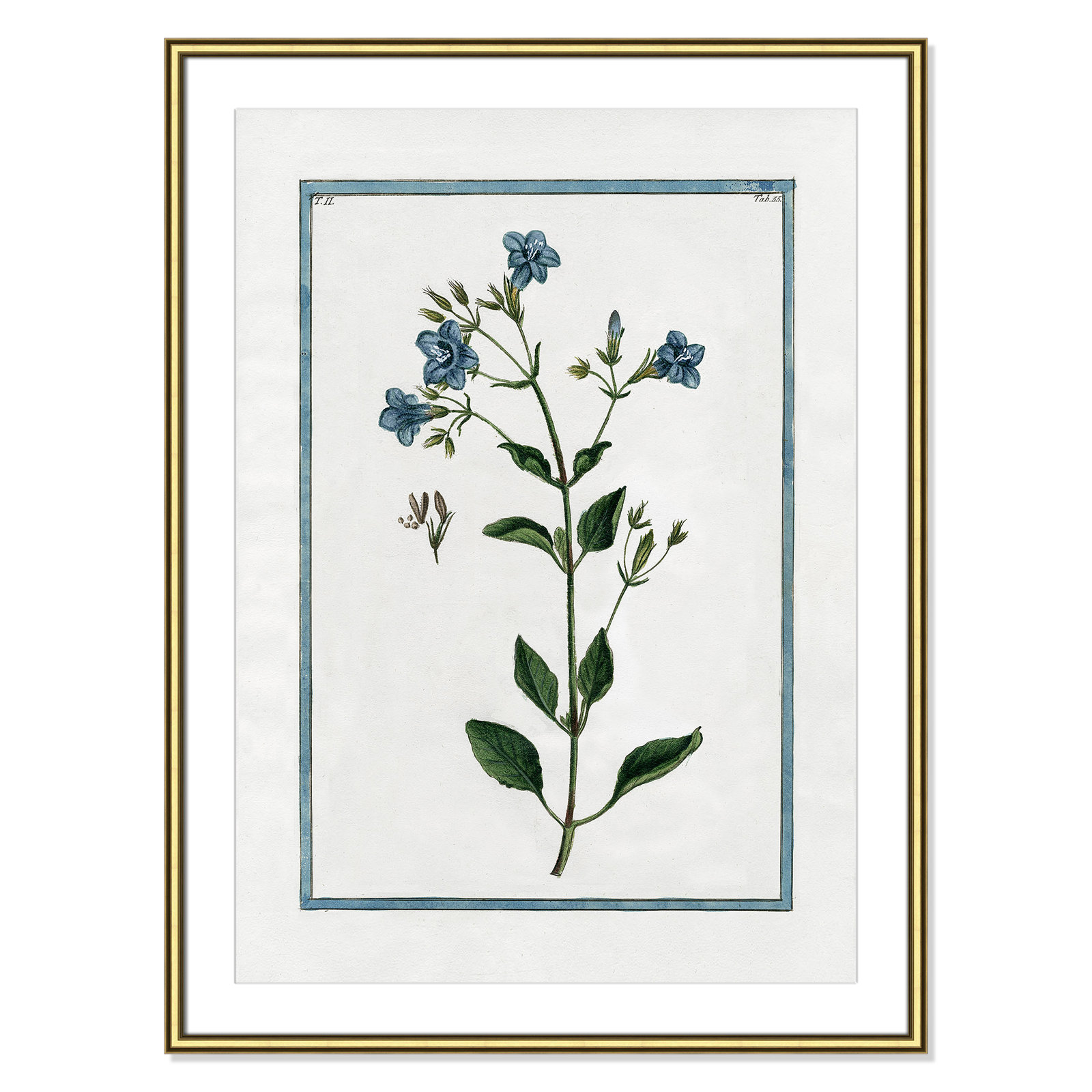 Colombe "Shabby Elegance Botanical II" Print, Gold Framed, 26.75" W x 36.75" H
