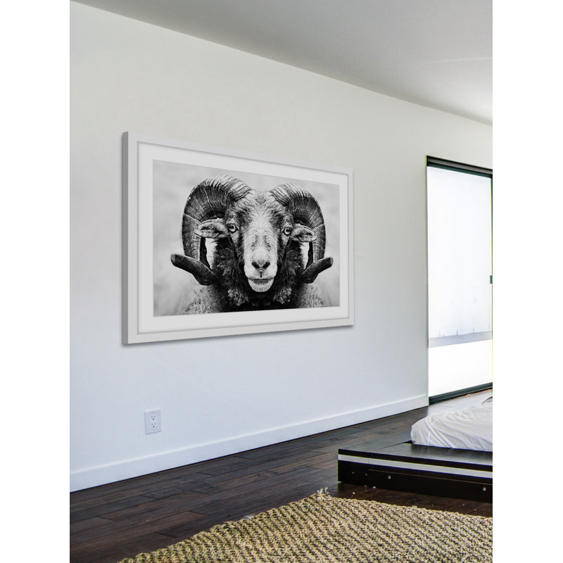 " I Dare You Ram ", 20" H x 30" W x 1.5" D
