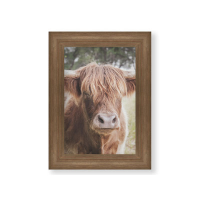 Highland Portrait by Kelly Wade. Paper Print - Mounted & Framed