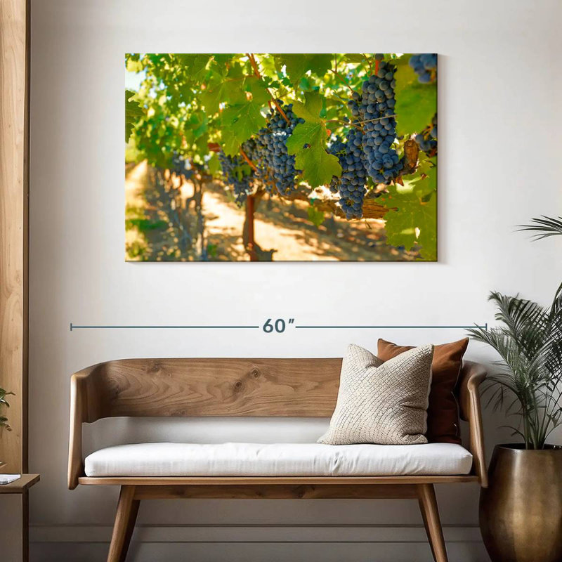 Yarlin Napa Valley Grapes