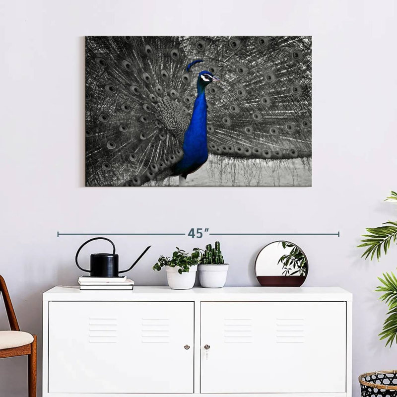 Brampt Peacock Pop, 24" H x 36" W