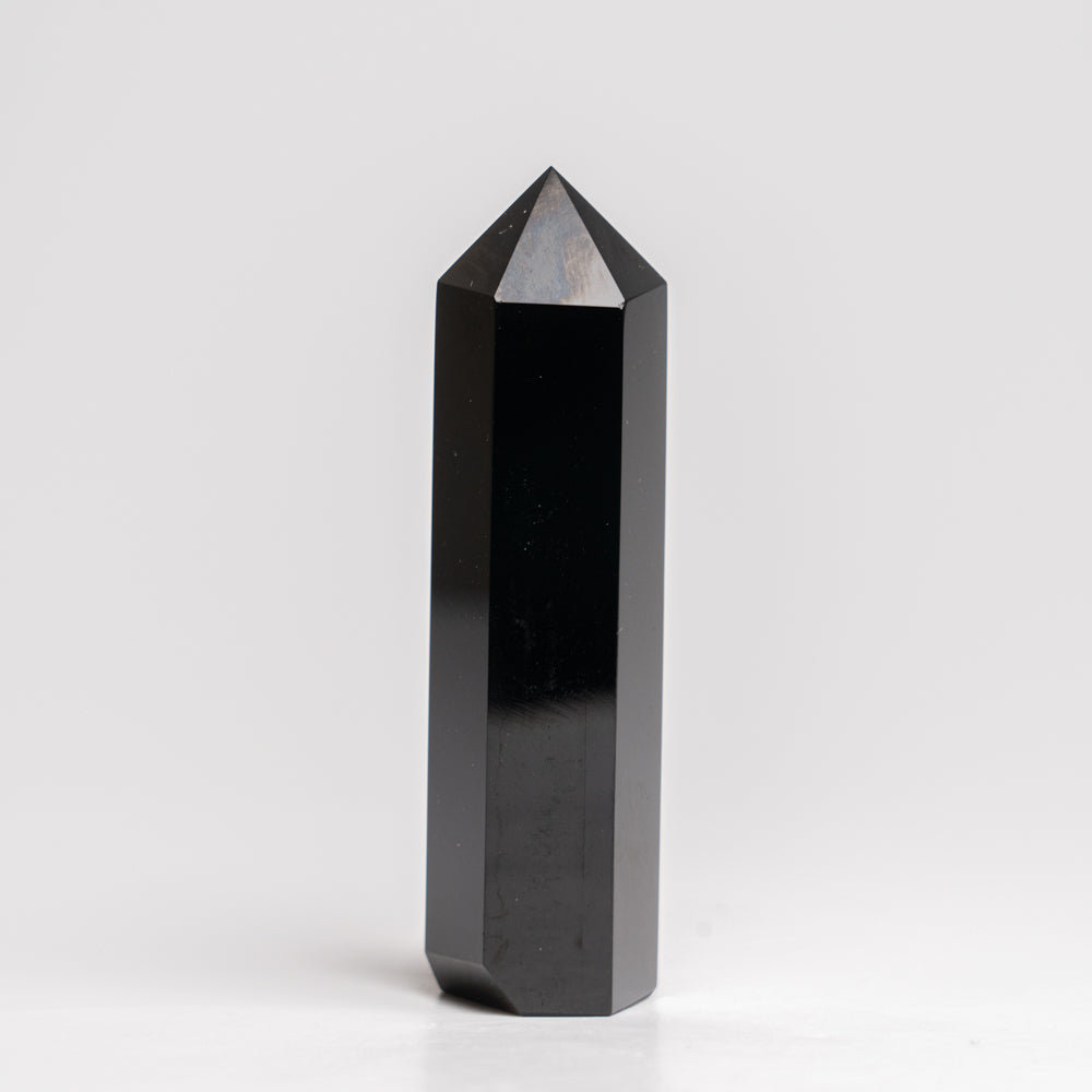 Astro Gallery of Gems Genuine Polished Black Obsidian (Medium) Point | Wayfair