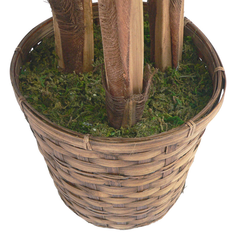 60" Artificial Palm Tree in Planter Set, 2