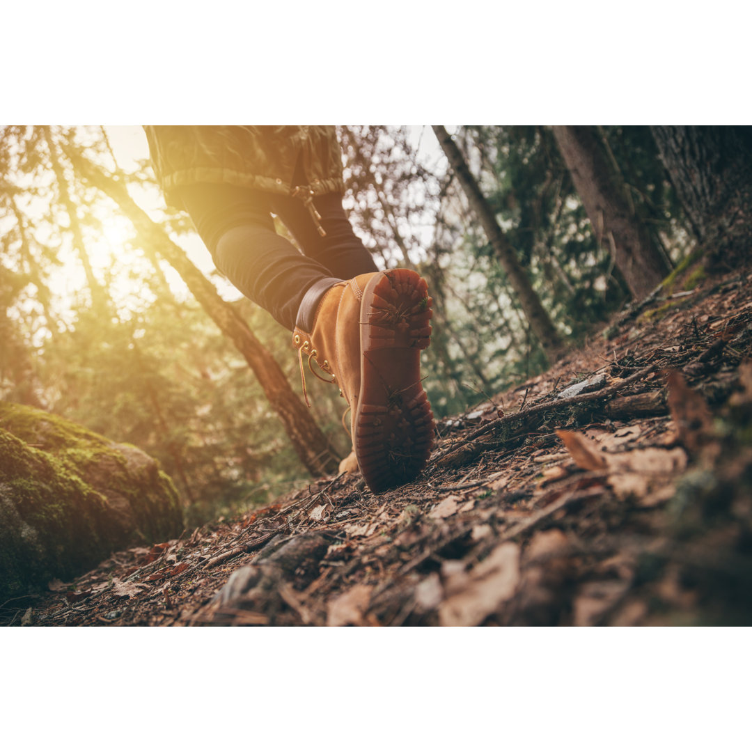 Auf einem Spaziergang. Wanderer, der in einem Wald spazieren geht.