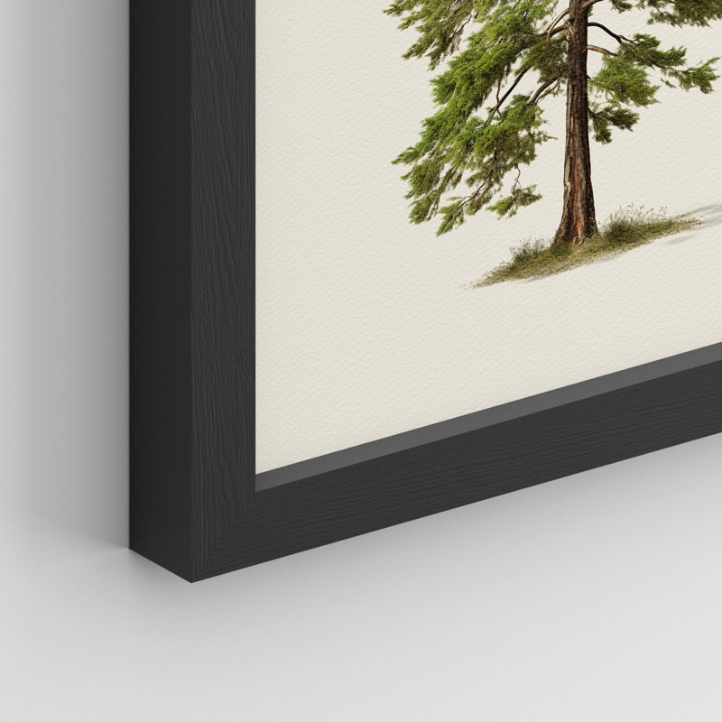 Arbre de Noël, pin, art, gros plan, impression encadrée sur papier, 4 pièces, Noir, H 16 po x l 12 po