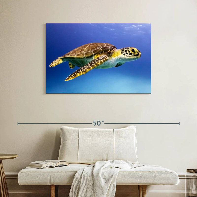 Brampt Young Hawksbill Turtle, 26" H x 39" W