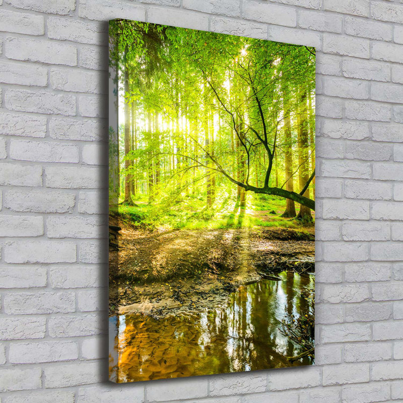 Stream in the Forest - Wrapped Canvas Art Prints