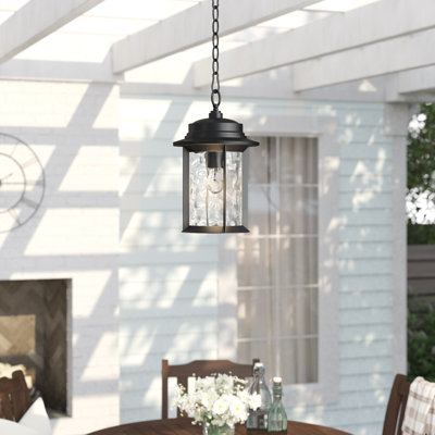 Aichinger Outdoor Hanging Lantern