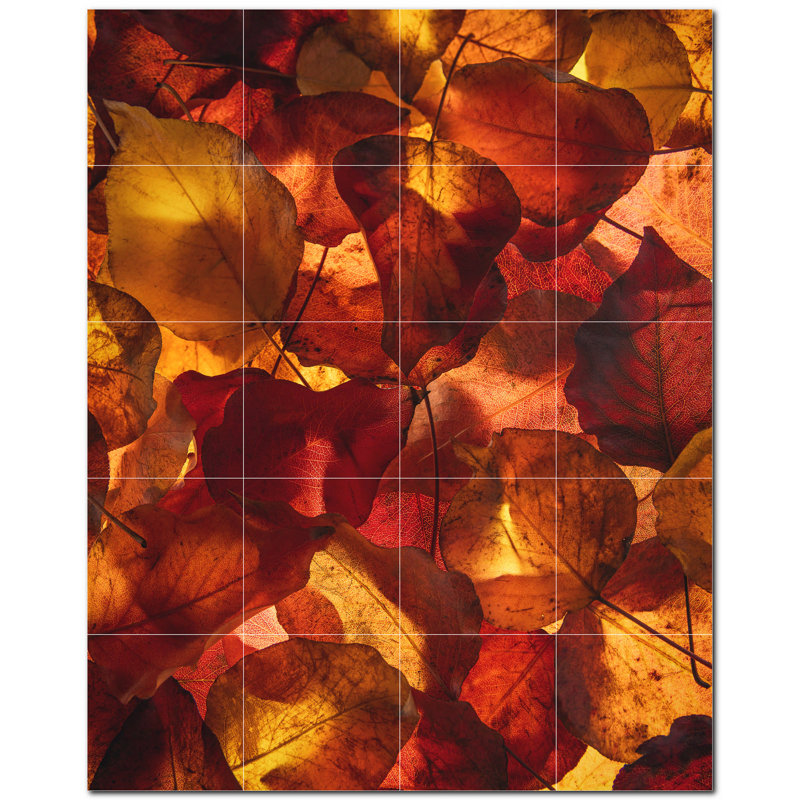 Photo d'automne 4,25 x 4,25