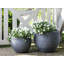 Atziry Pot Planter-1261627550-1261627549