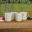 Mikasa Italian Countryside 11.5 oz. Coffee Mugs