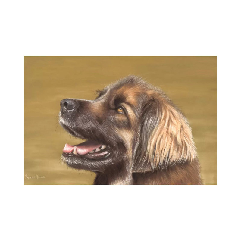 Leonberger by Richard Macwee - Gallery-Wrapped Canvas Giclée, Canvas, 66.04 cm H x 45.72 cm W x 1.91 cm D