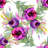 Hintzen Wall Mural-482979295