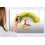 Magnetic Glass Dry Erase Board