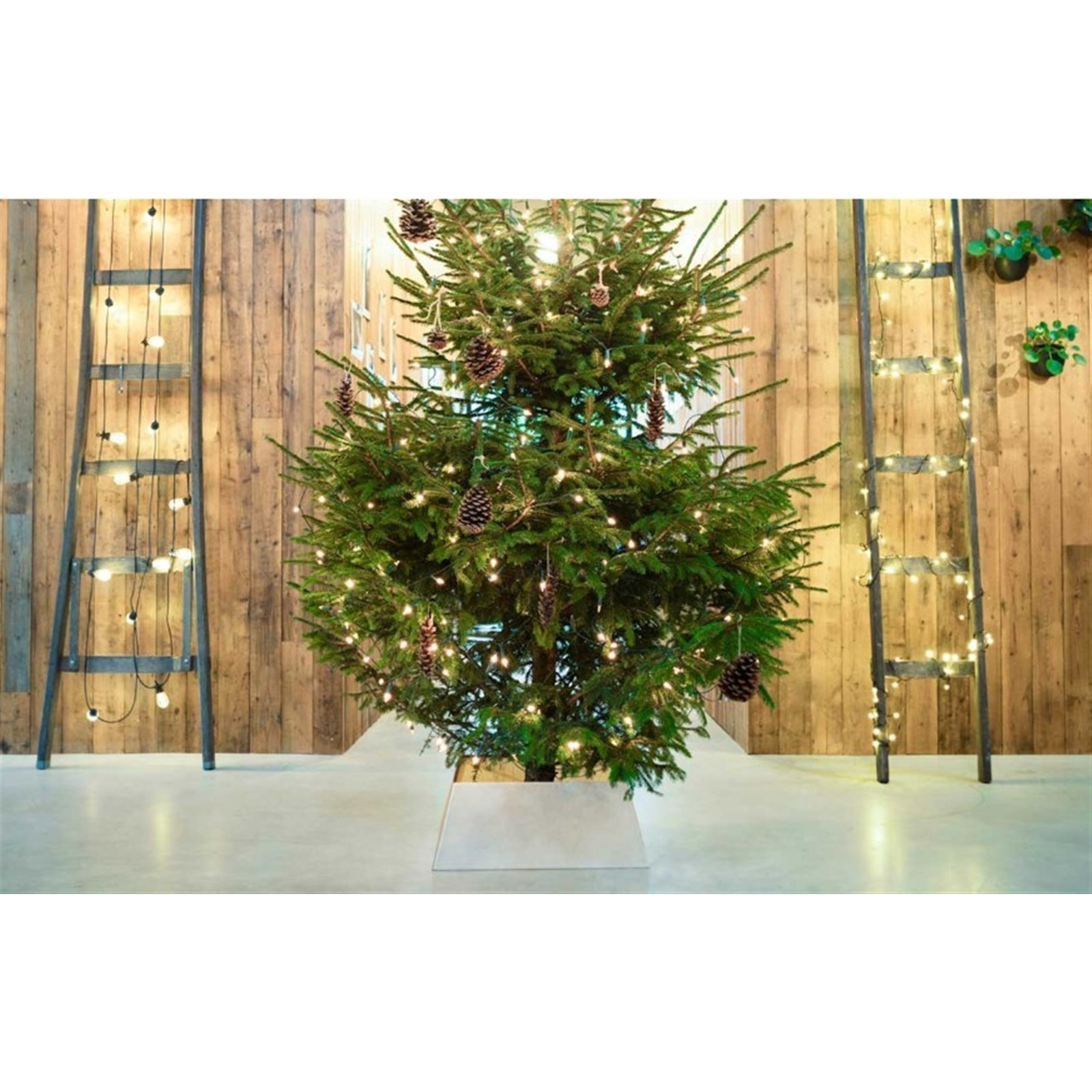 Canvas Christmas Tree Skirt, Ivory, 4" H x 18" W x 18" D